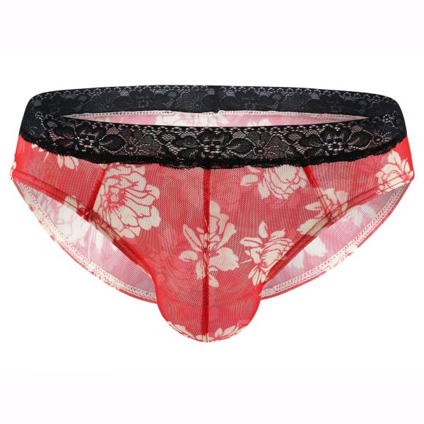 Universal Men's Briefs Sexy See-through Mesh - Image 4