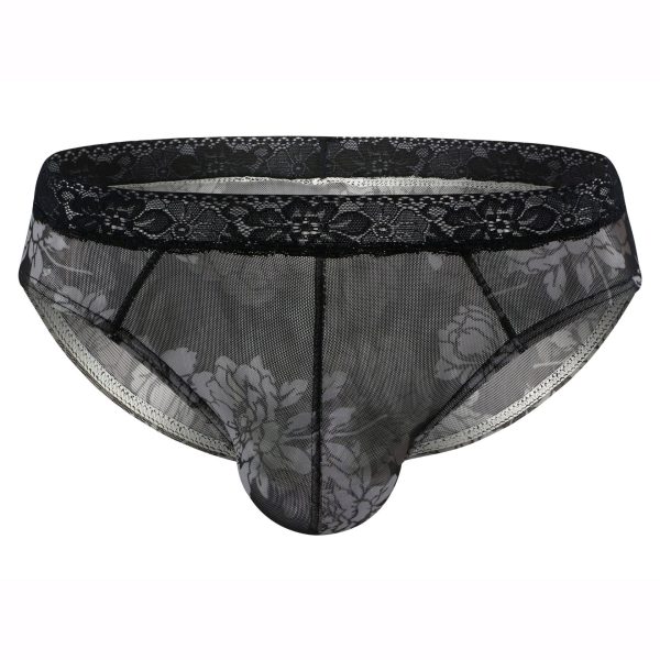 Universal Men's Briefs Sexy See-through Mesh - Image 2
