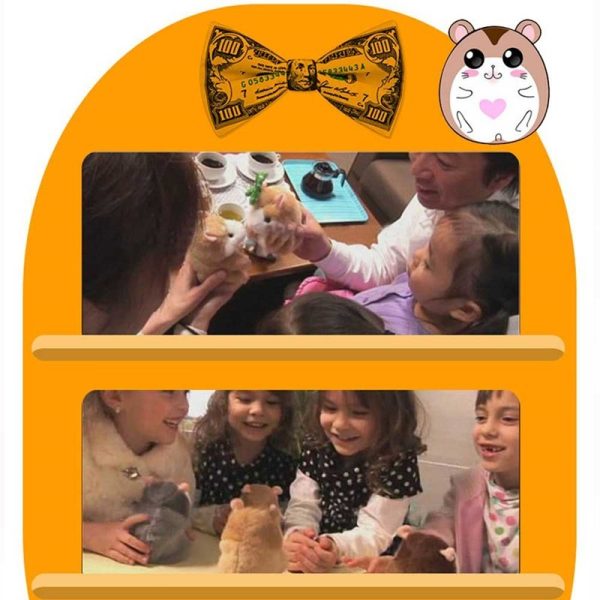 15CM Little Talking Hamster Toy - Image 2