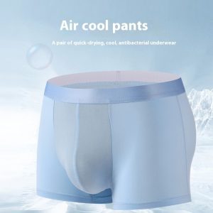 Summer Ice Silk Underwear Men's Thin Breathable Quick-drying