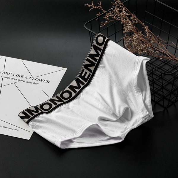 Classic Men's Underwear Men's Boxers Youth Sexy Low Waist Stretch - Image 2
