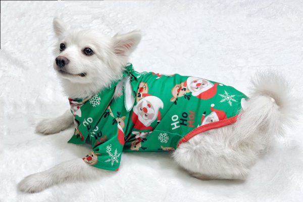 Christmas Pajamas For Family Matching Family Christmas PJs Sets Santa Claus Printed Top Sleepwear - Image 5