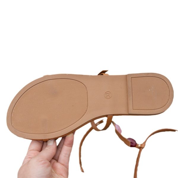 Flat Round Head Beach Holiday Sandals - Image 5